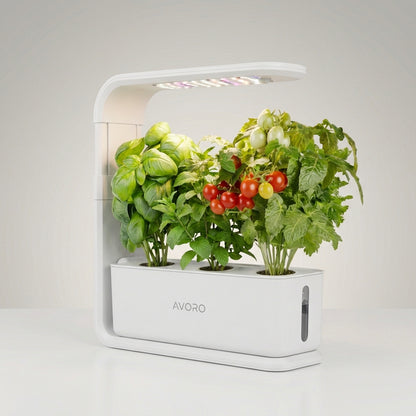 Avoro Indoor Grow Kit