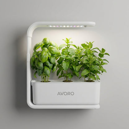 Avoro Indoor Grow Kit
