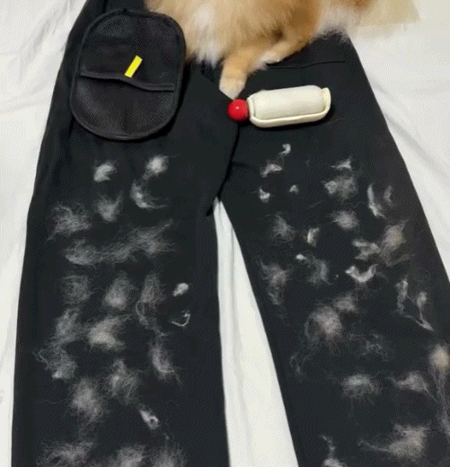 FurGone™ Pet Glove