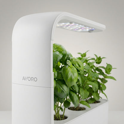 Avoro Indoor Grow Kit